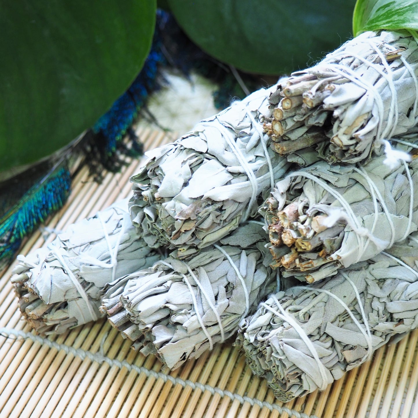 White Sage Smudging Wand (S) - Shakti