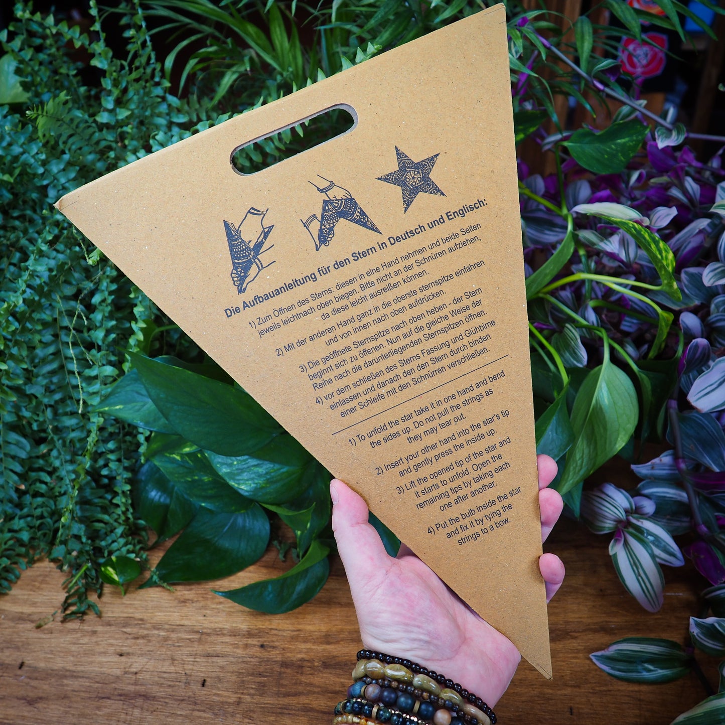 Paper Star Lanterns (5 Lantern Mixed Bundle) - Shakti