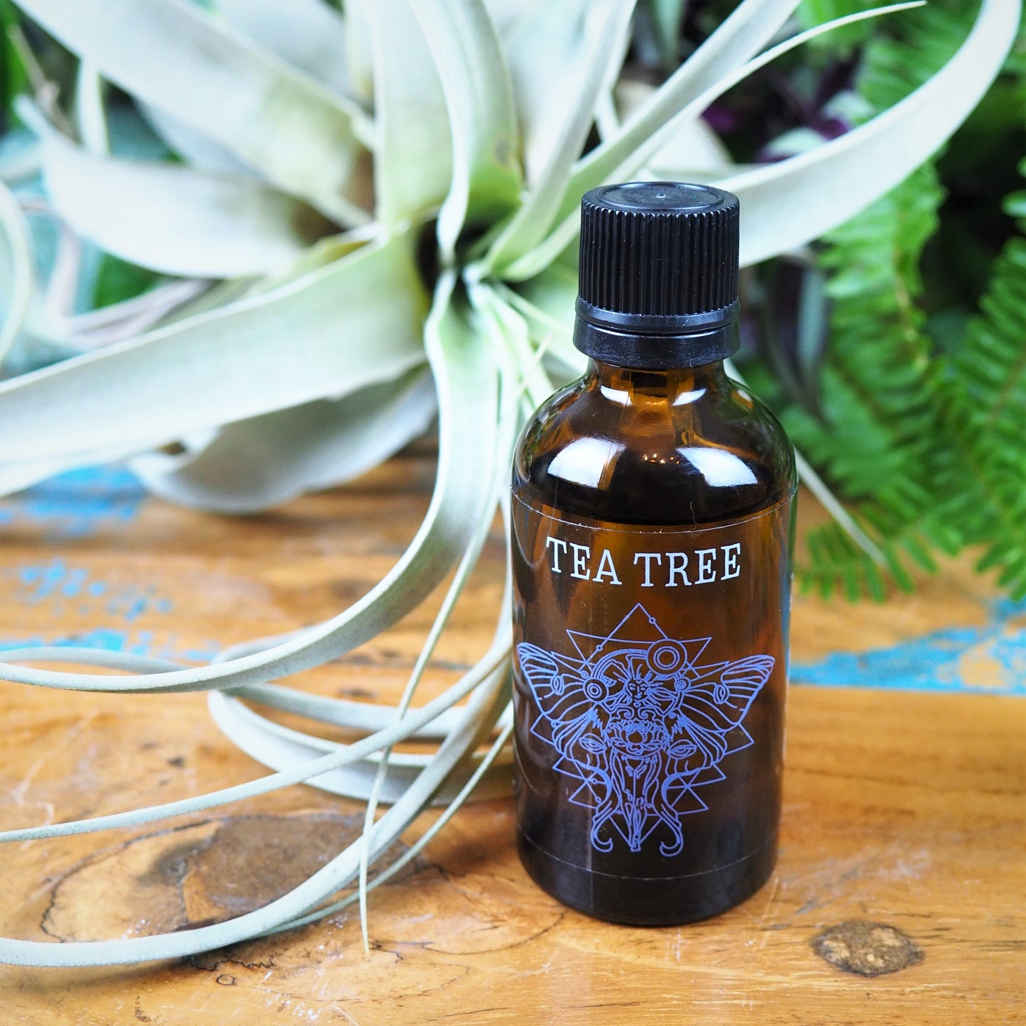 Tea Tree Essential Oil - Shakti