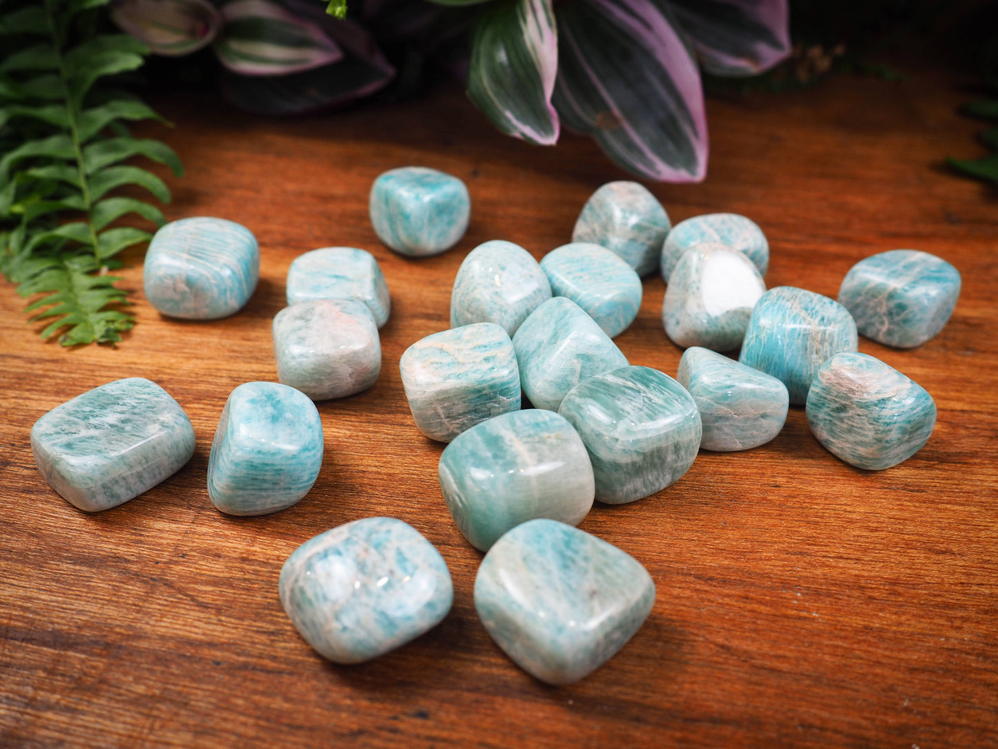 Amazonite Tumble Stones - Shakti