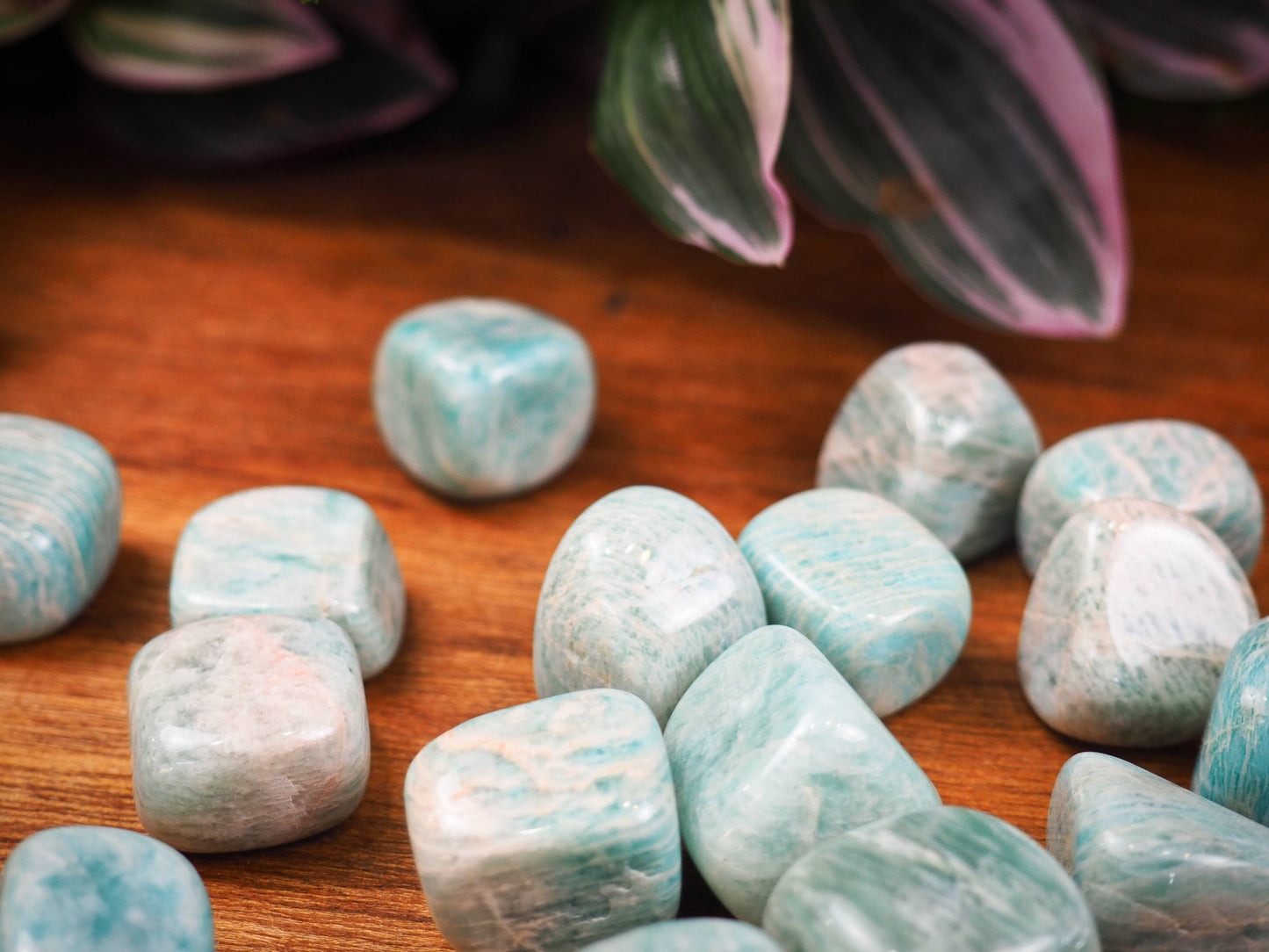 Amazonite Tumble Stones - Shakti