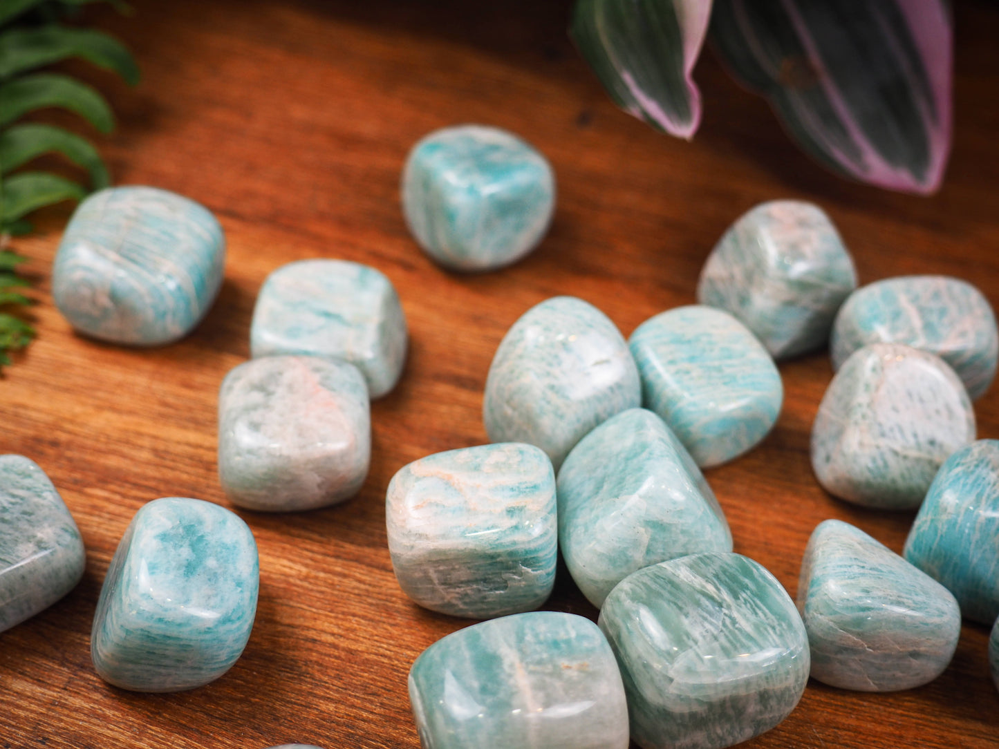Amazonite Tumble Stones - Shakti