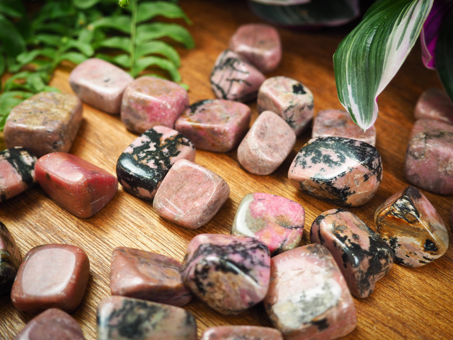 Rhodonite Tumble Stones - Shakti