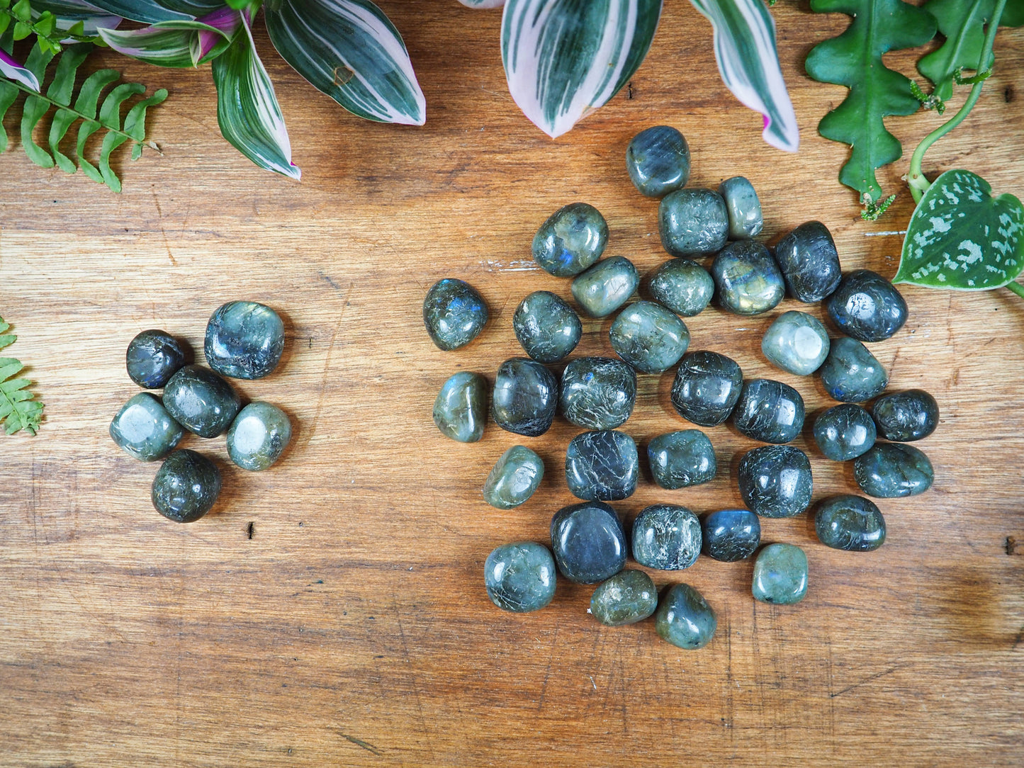 Labradorite Tumble Stones - Shakti