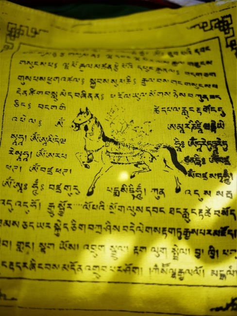 Prayer Flags - Shakti