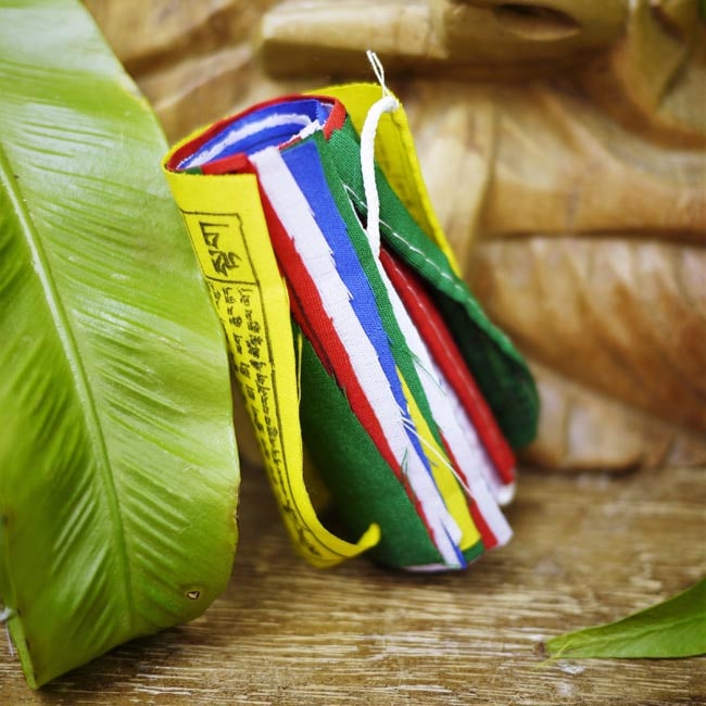 Prayer Flags - Shakti