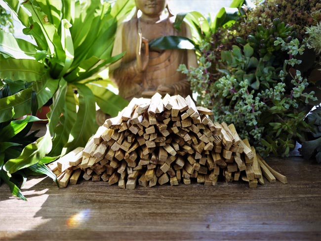 Palo Santo Wood - Shakti