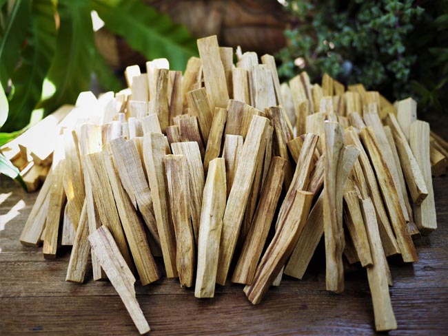 Palo Santo Wood - Shakti