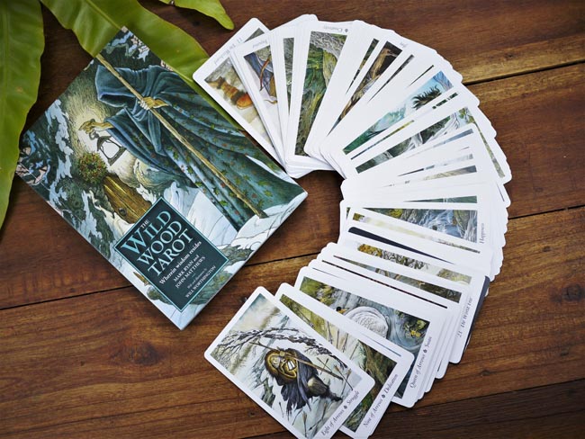 The Wild Wood Tarot - Shakti