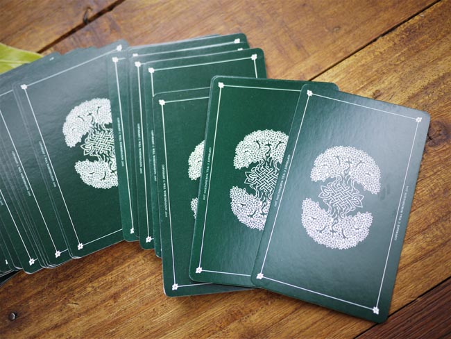 The Wild Wood Tarot - Shakti