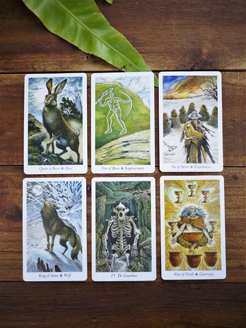 The Wild Wood Tarot - Shakti
