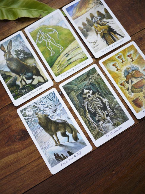 The Wild Wood Tarot - Shakti