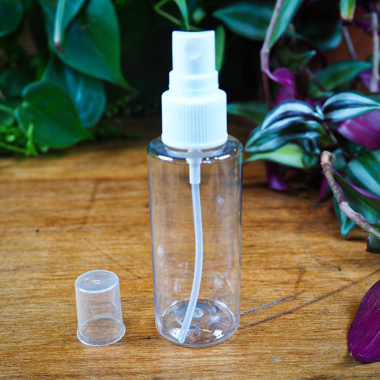 Clear Plastic Spray Bottle (60ml) - Shakti
