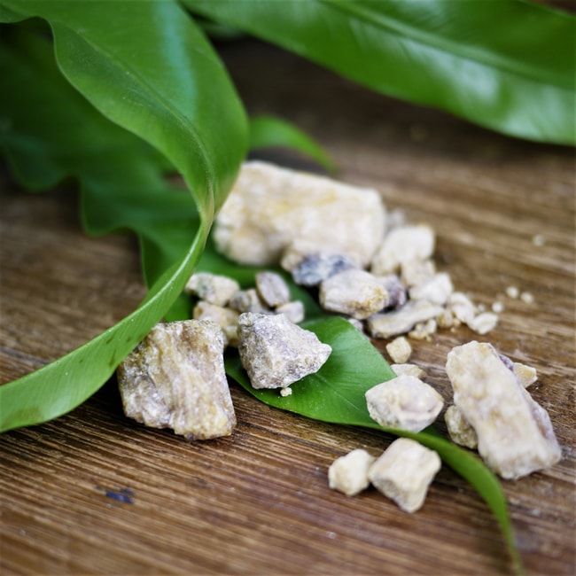 White Copal - Shakti