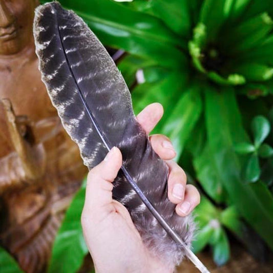 Turkey Smudging Feather - Shakti