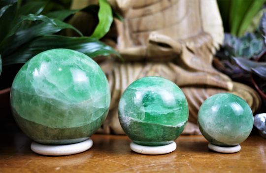 Wooden Rings/Stands - Shakti