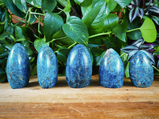 Apatite Free Forms - Shakti