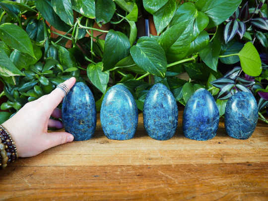 Apatite Free Forms - Shakti