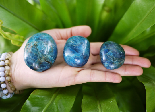 Apatite Palm Stones - Shakti