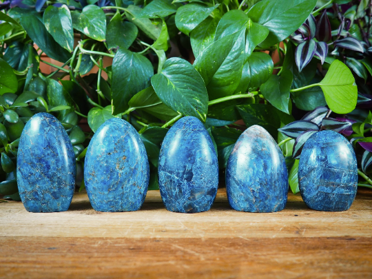 Apatite Free Forms - Shakti