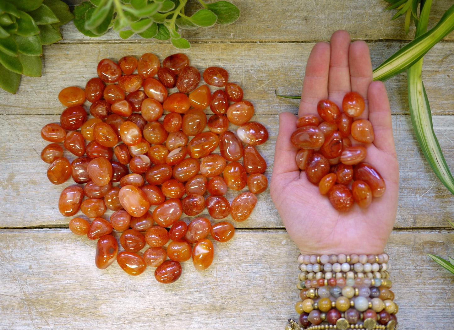 Carnelian Tumble Stones - Shakti