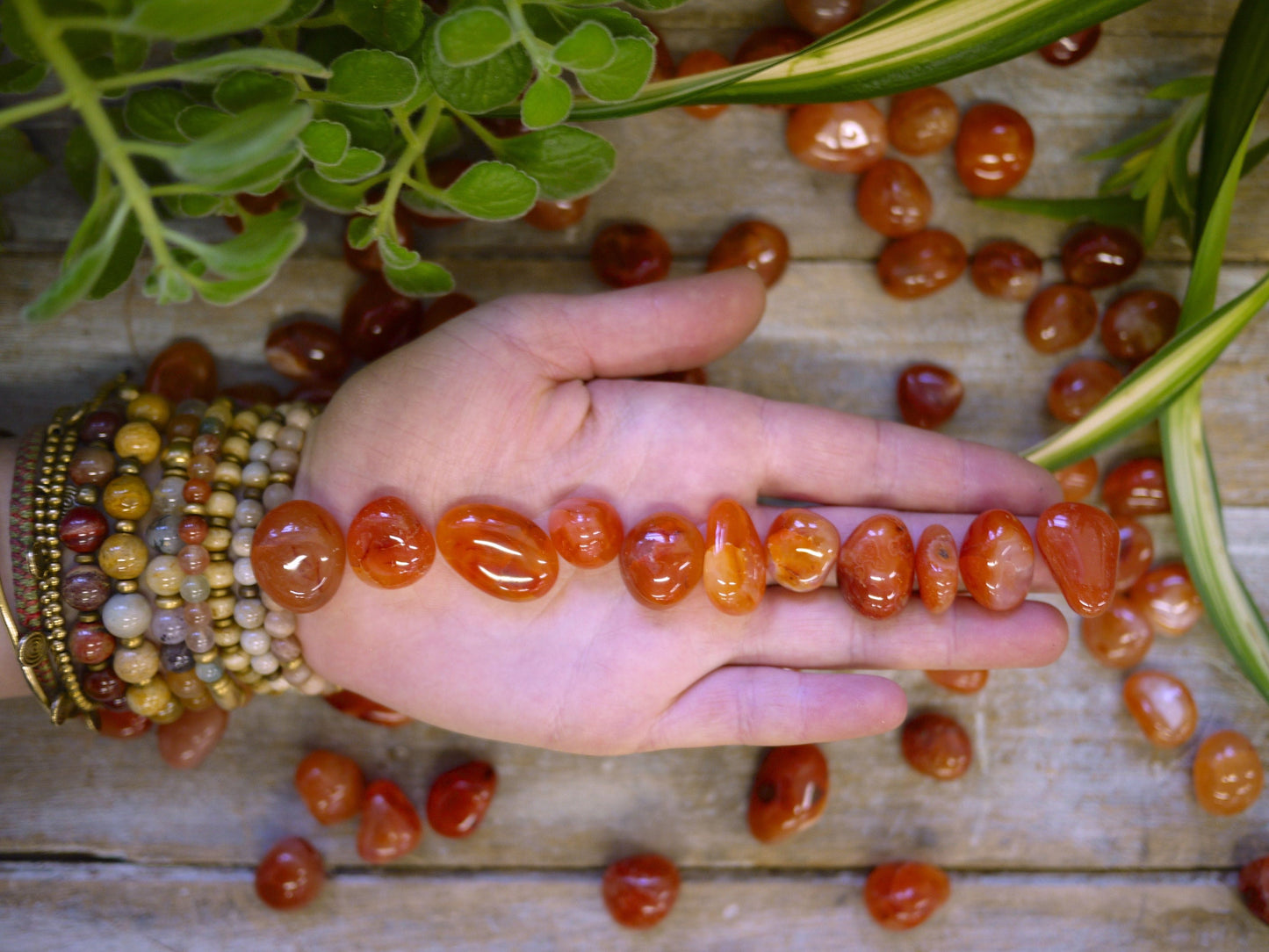 Carnelian Tumble Stones - Shakti