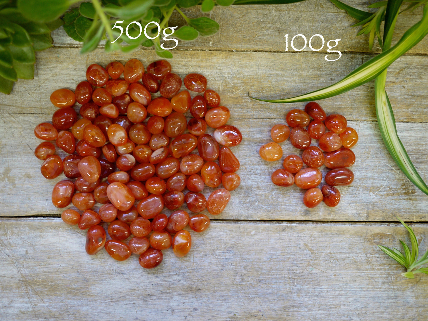 Carnelian Tumble Stones - Shakti