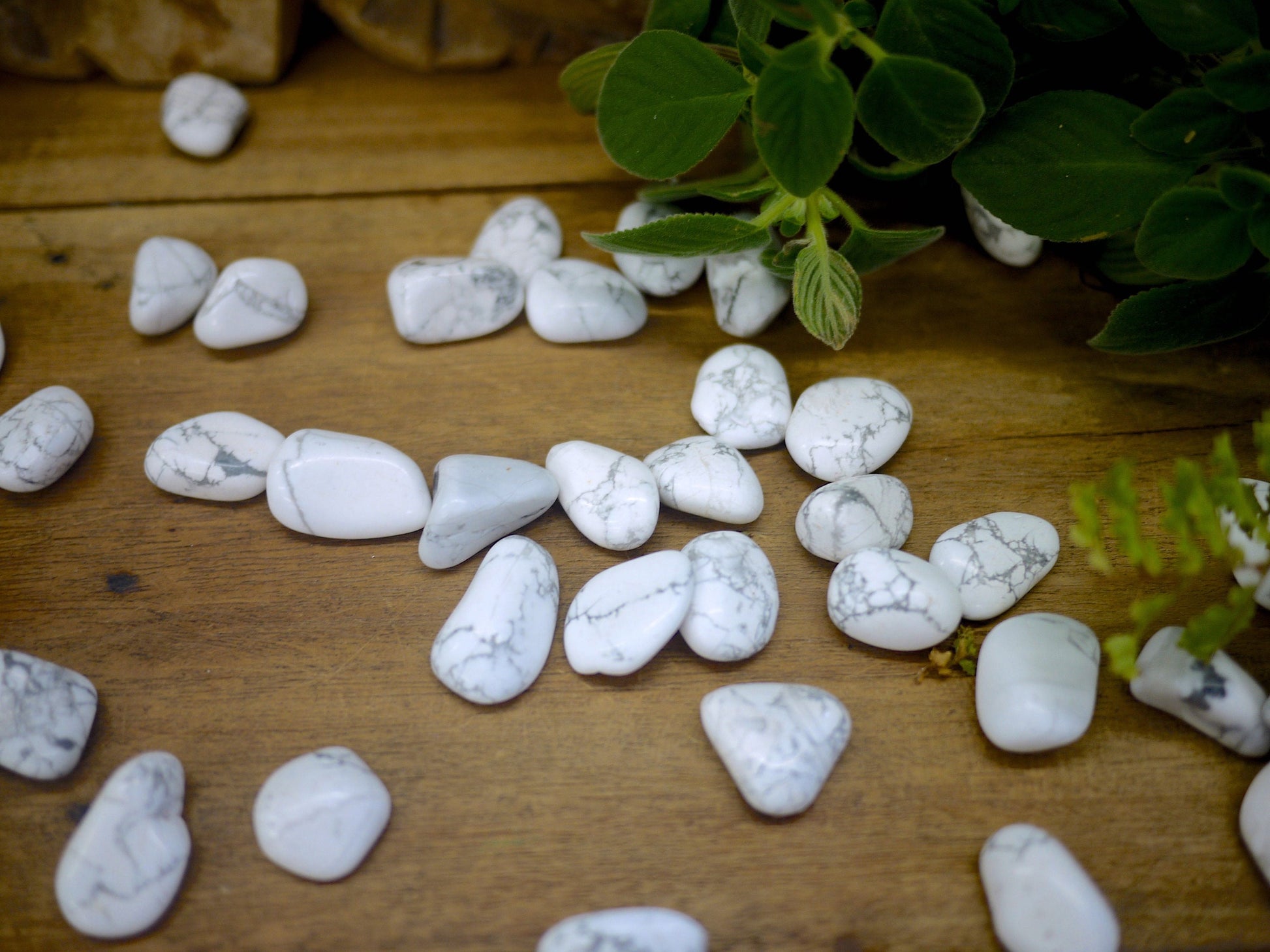 White Howlite Tumble Stones - Shakti