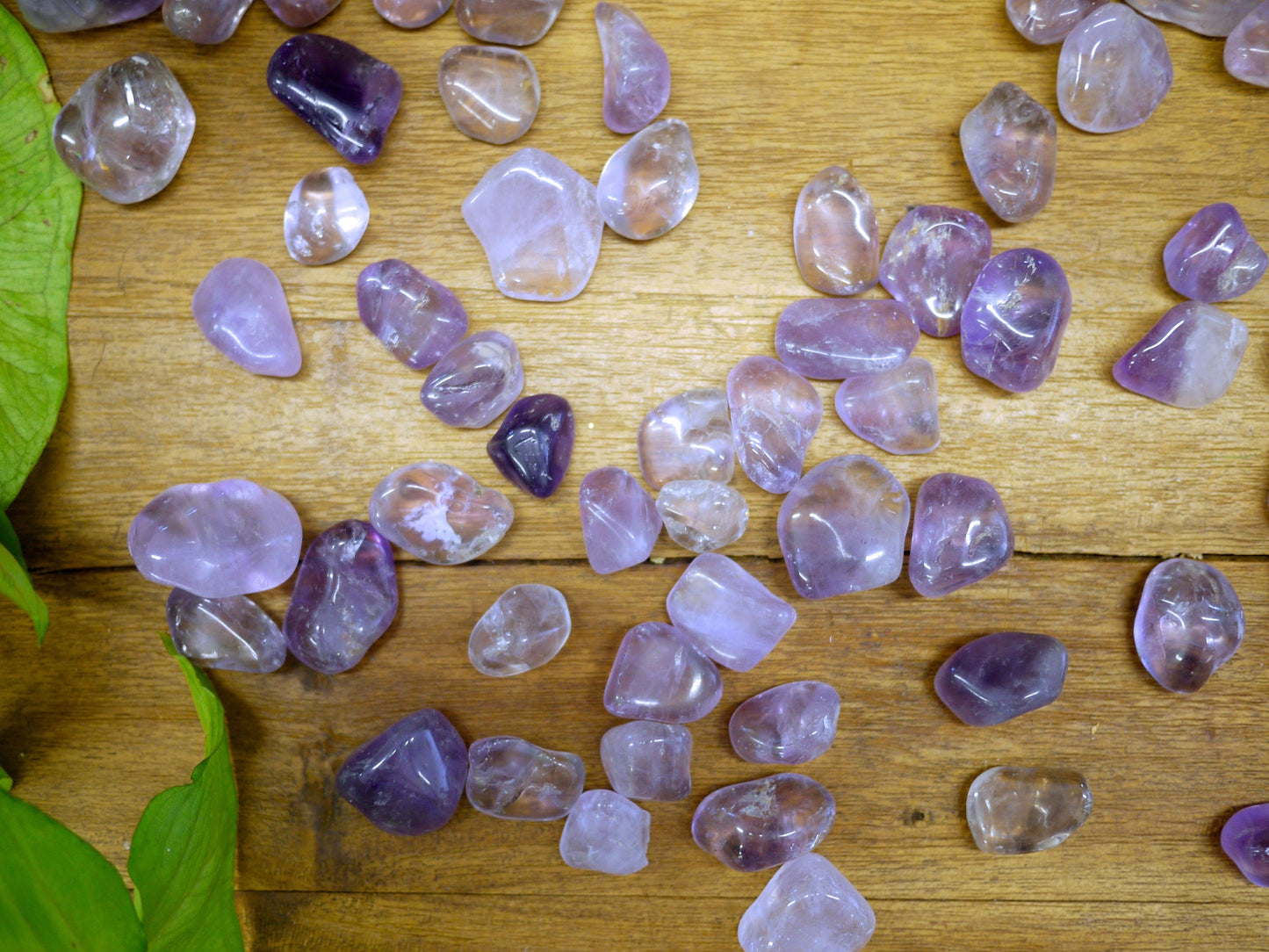 Amethyst Tumble Stones - Shakti