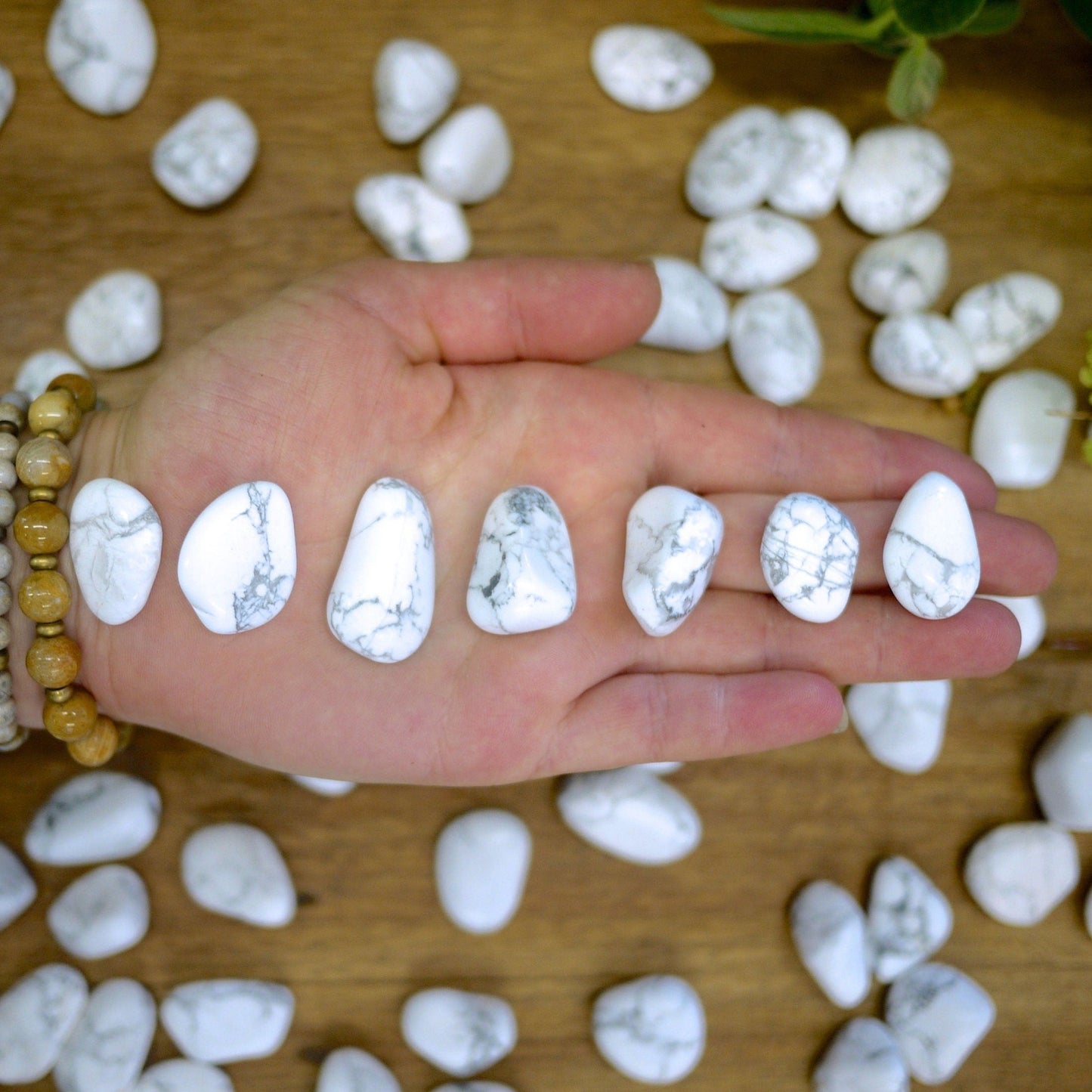 White Howlite Tumble Stones - Shakti