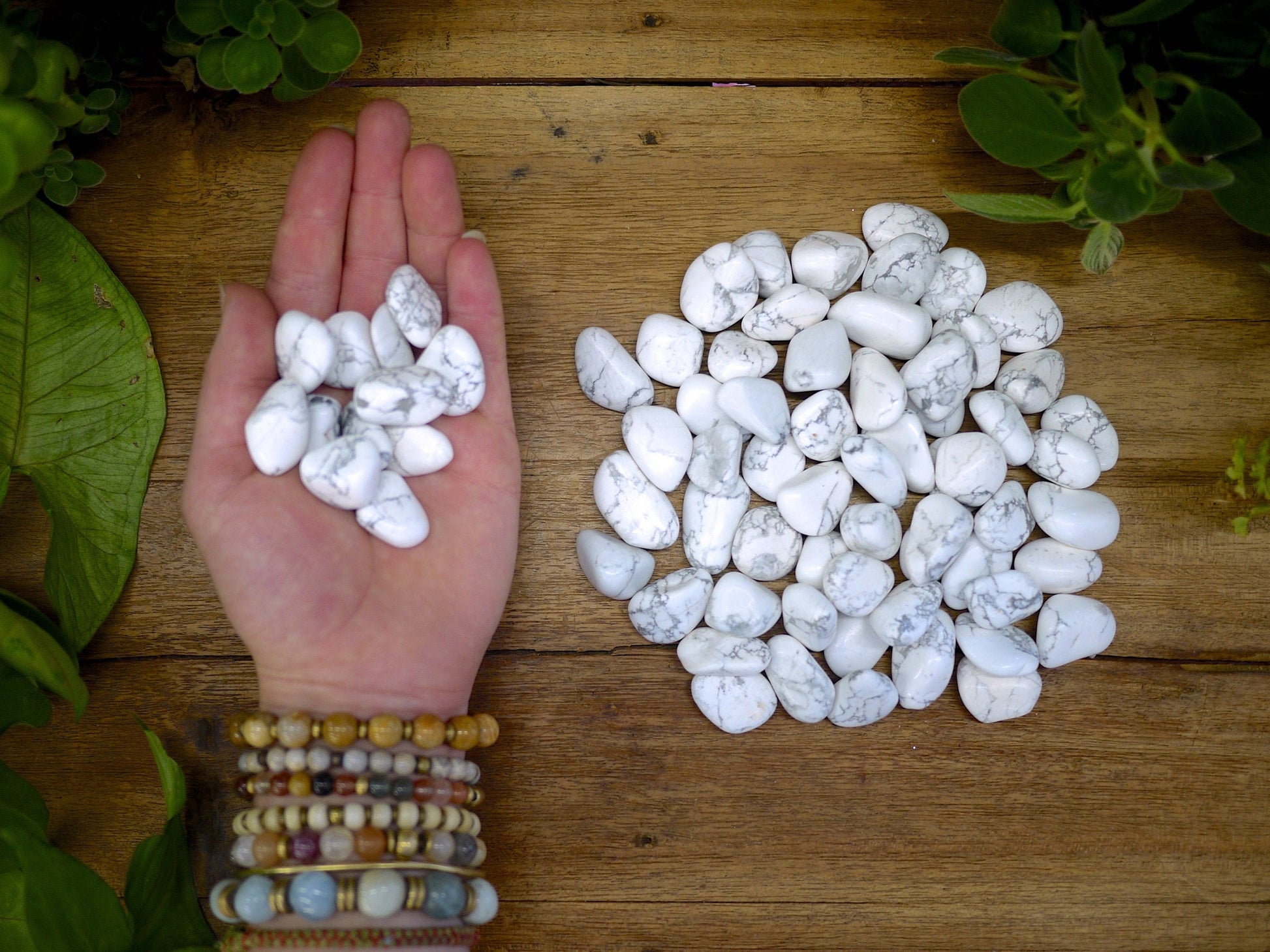 White Howlite Tumble Stones - Shakti