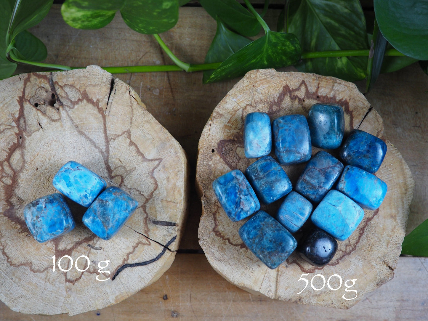 Apatite Tumble Stones - Shakti