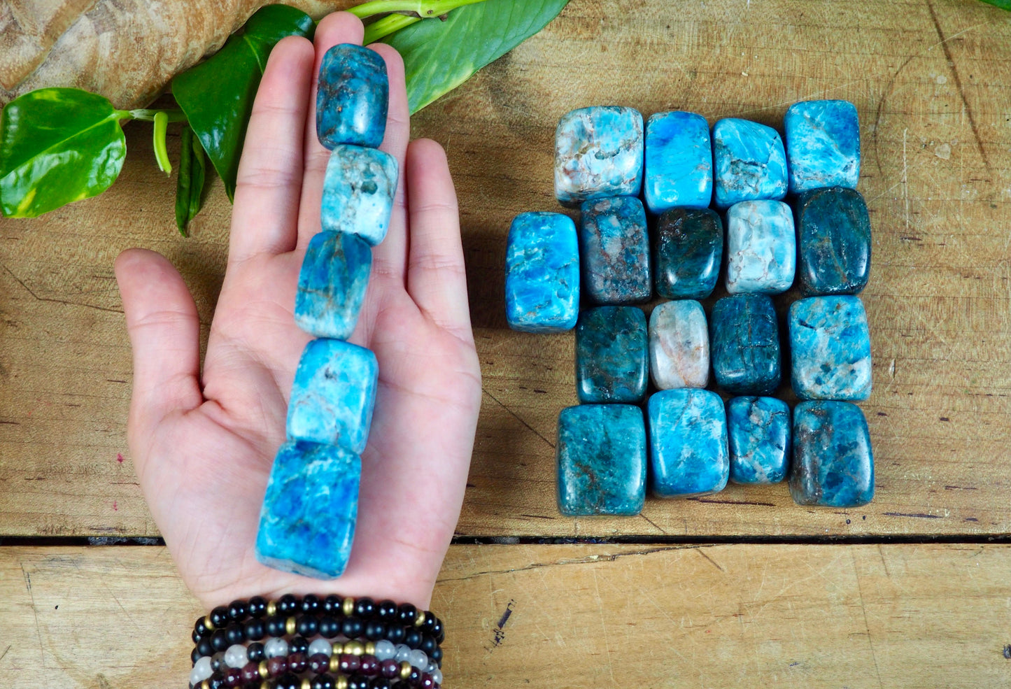Apatite Tumble Stones - Shakti