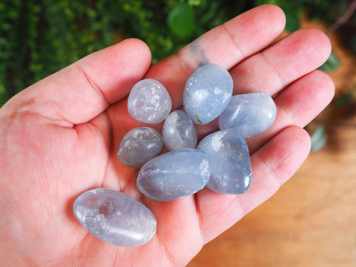 Celestite Tumble Stones - Shakti