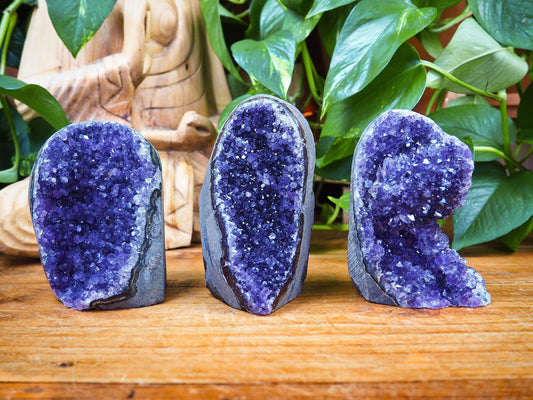 Amethyst Standing Clusters - Shakti