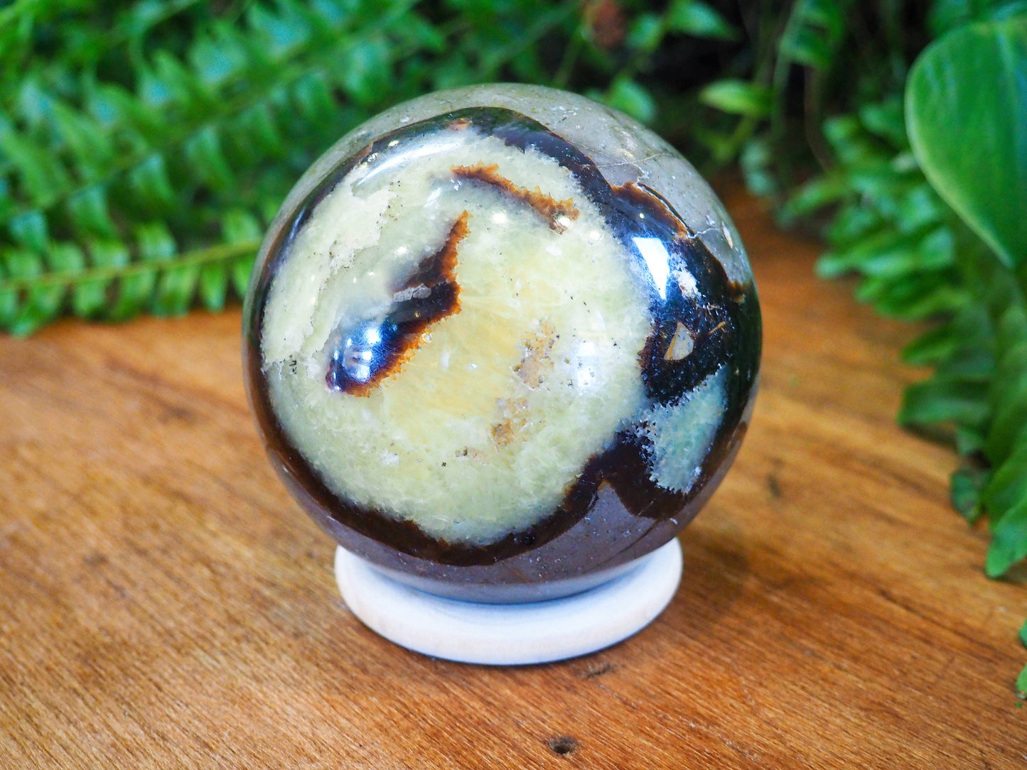 Septarian/Calcite Spheres - Shakti