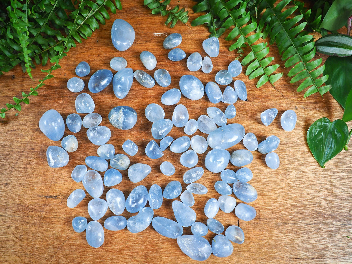 Celestite Tumble Stones - Shakti