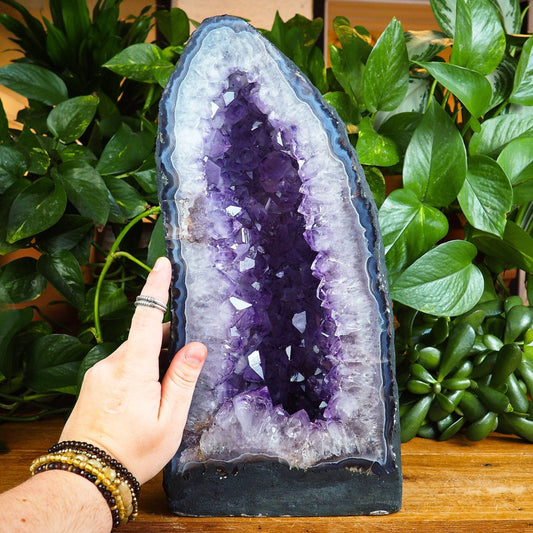 Amethyst Cathedrals - Shakti