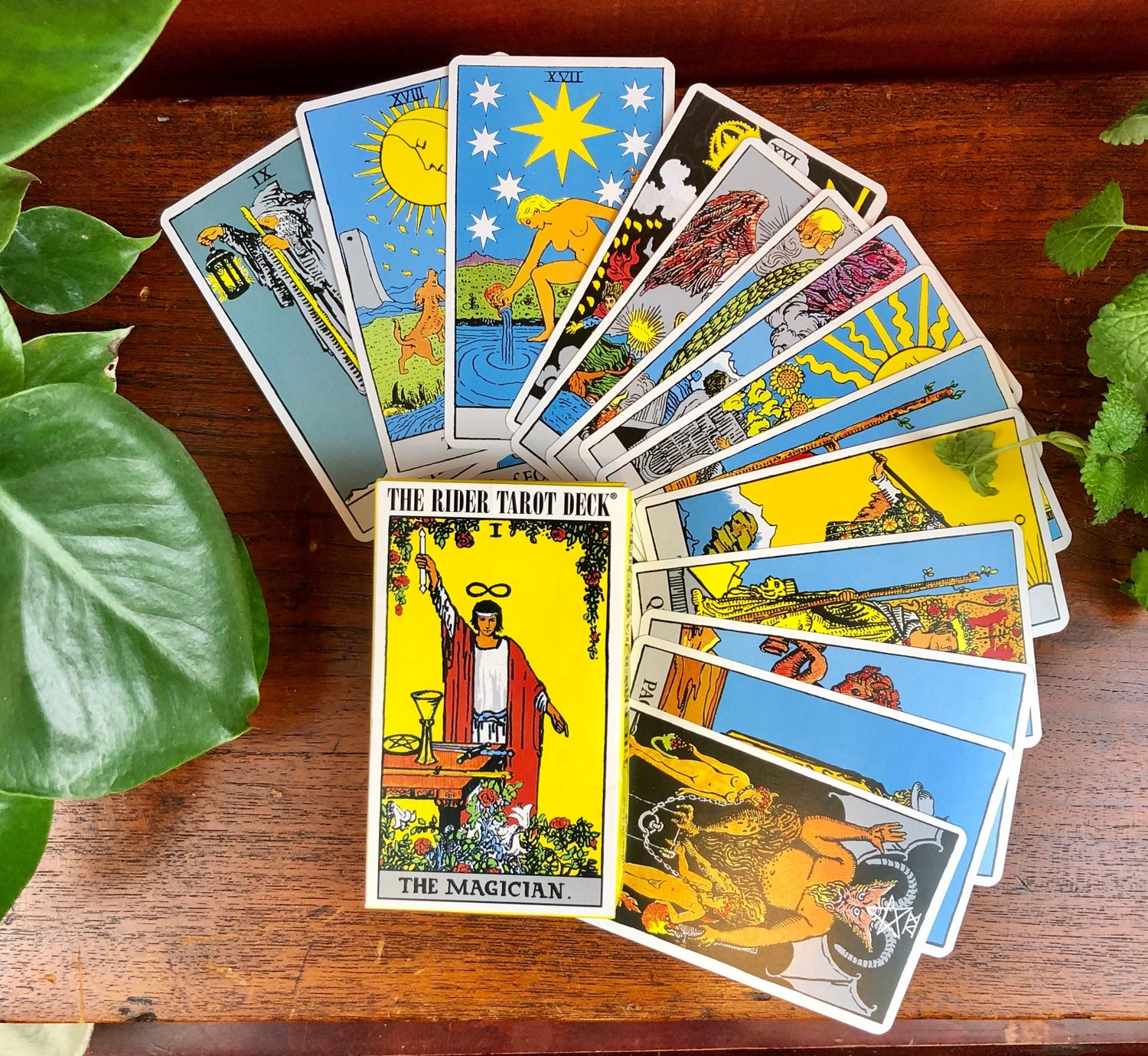 Oracle & Tarot Cards