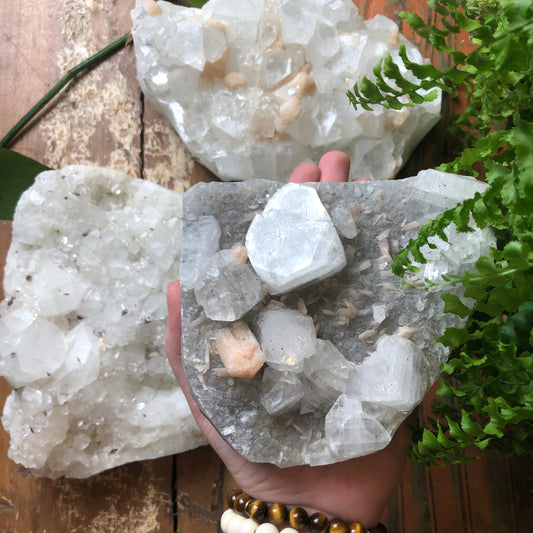 Apophyllite Tips - Shakti