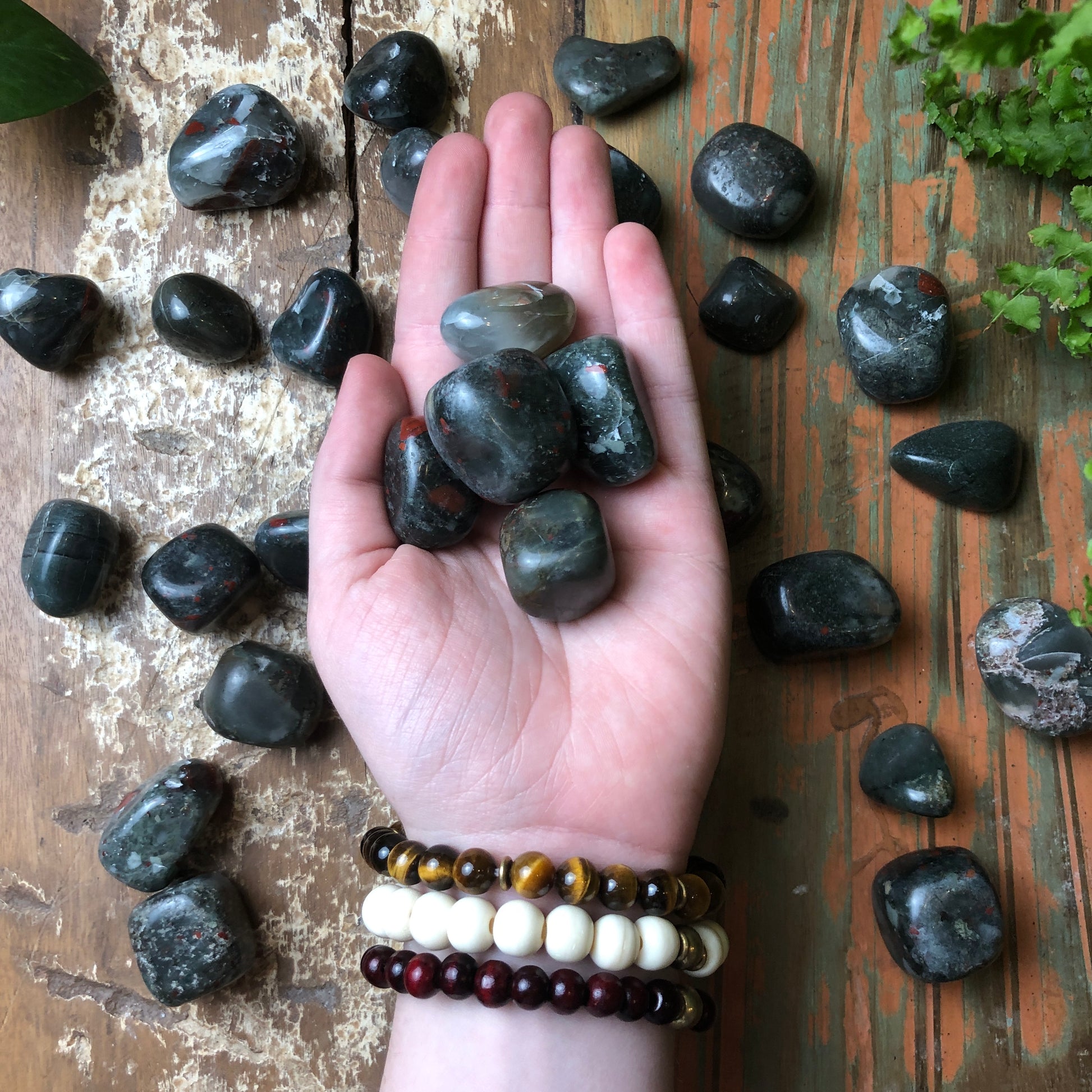 Bloodstone Tumble Stones - Shakti