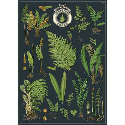 Wrap Sheet, 50 x 70cm