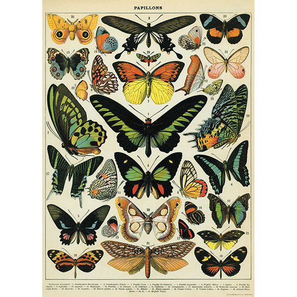 Wrap Sheet, 50 x 70cm