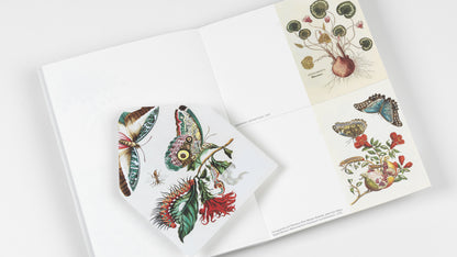 Creative Paper Book