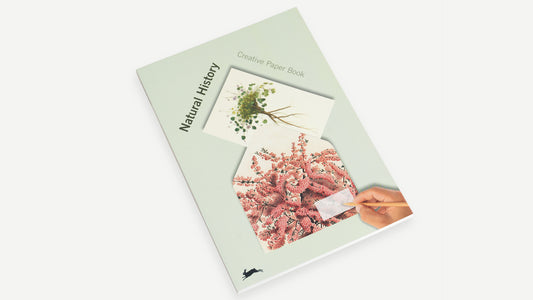 Creative Paper Book