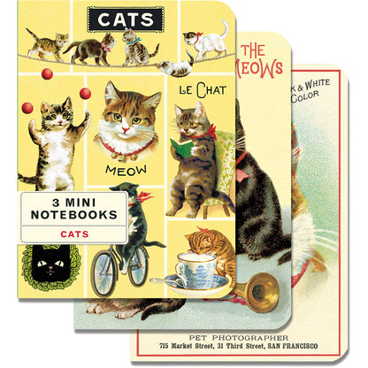 Mini Notebooks (Set of 3)