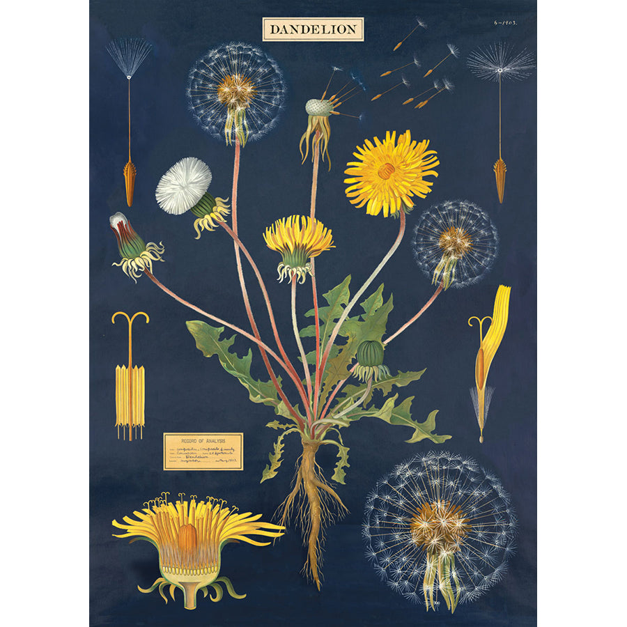 Wrap Sheet, 50 x 70cm