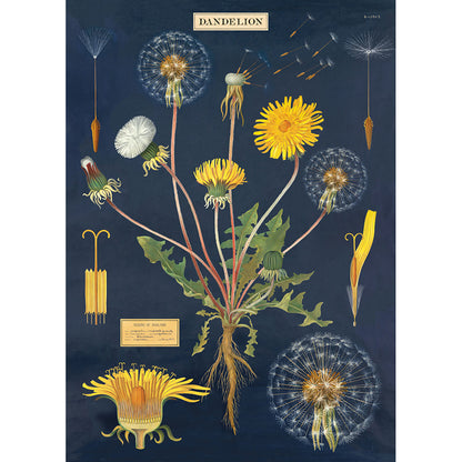 Wrap Sheet, 50 x 70cm