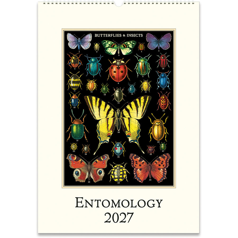 Wall Calendar 2027