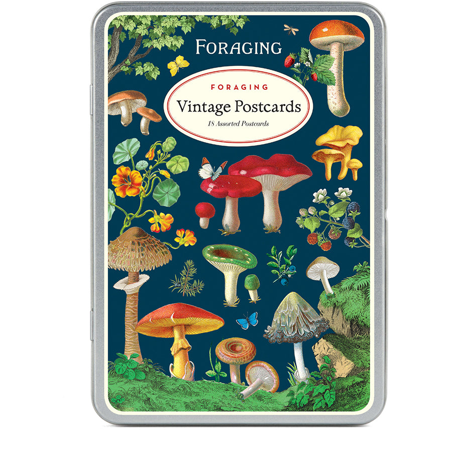 Vintage Post Card Set